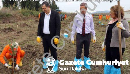 Dalaman Cezaevi’nde Üretim Hamlesi: Sakız Ağacı Fidanları Toprakla Buluştu