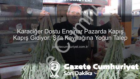 Karaciğer Dostu Enginar Pazarda Kapış Kapış Gidiyor: Şifa Kaynağına Yoğun Talep