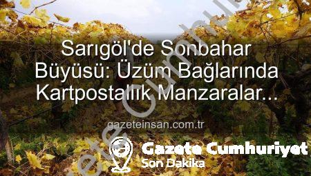 Sarıgöl’de Sonbahar Büyüsü: Üzüm Bağlarında Kartpostallık Manzaralar Eşliğinde Budama Çalışmaları