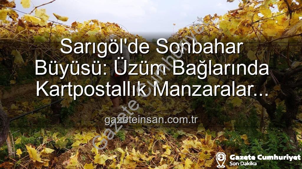 Sarıgöl üzüm bağları - Sarıgöl'de Sonbahar Büyüsü: Üzüm Bağlarında Kartpostallık Manzaralar Eşliğinde Budama Çalışmaları