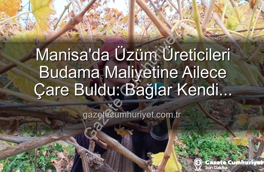 üzüm budama maliyeti - Manisa'da Üzüm Üreticileri Budama Maliyetine Ailece Çare Buldu: Bağlar Kendi Emeğiyle Şekilleniyor