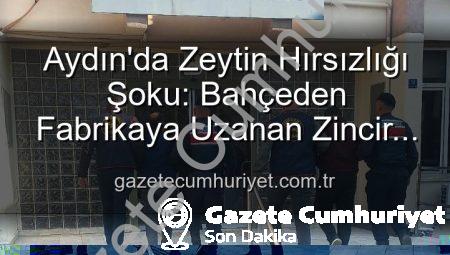 Aydın’da Zeytin Hırsızlığı Şoku: Bahçeden Fabrikaya Uzanan Zincir Çökertildi, 2 Gözaltı