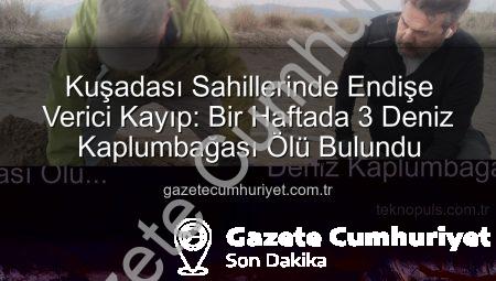 Kuşadası Sahillerinde Endişe Verici Kayıp: Bir Haftada 3 Deniz Kaplumbağası Ölü Bulundu