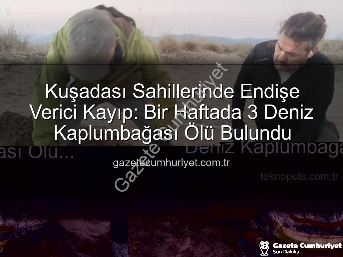 deniz kaplumbağası ölü bulundu - Kuşadası Sahillerinde Endişe Verici Kayıp: Bir Haftada 3 Deniz Kaplumbağası Ölü Bulundu