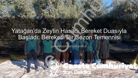 Yatağan’da Zeytin Hasadı Bereket Duasıyla Başladı: Bereketli Bir Sezon Temennisi