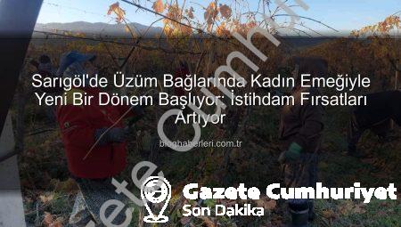 Sarıgöl’de Üzüm Bağları Yeniden Hayat Buluyor: Kadın İstihdamında Rekor Artış