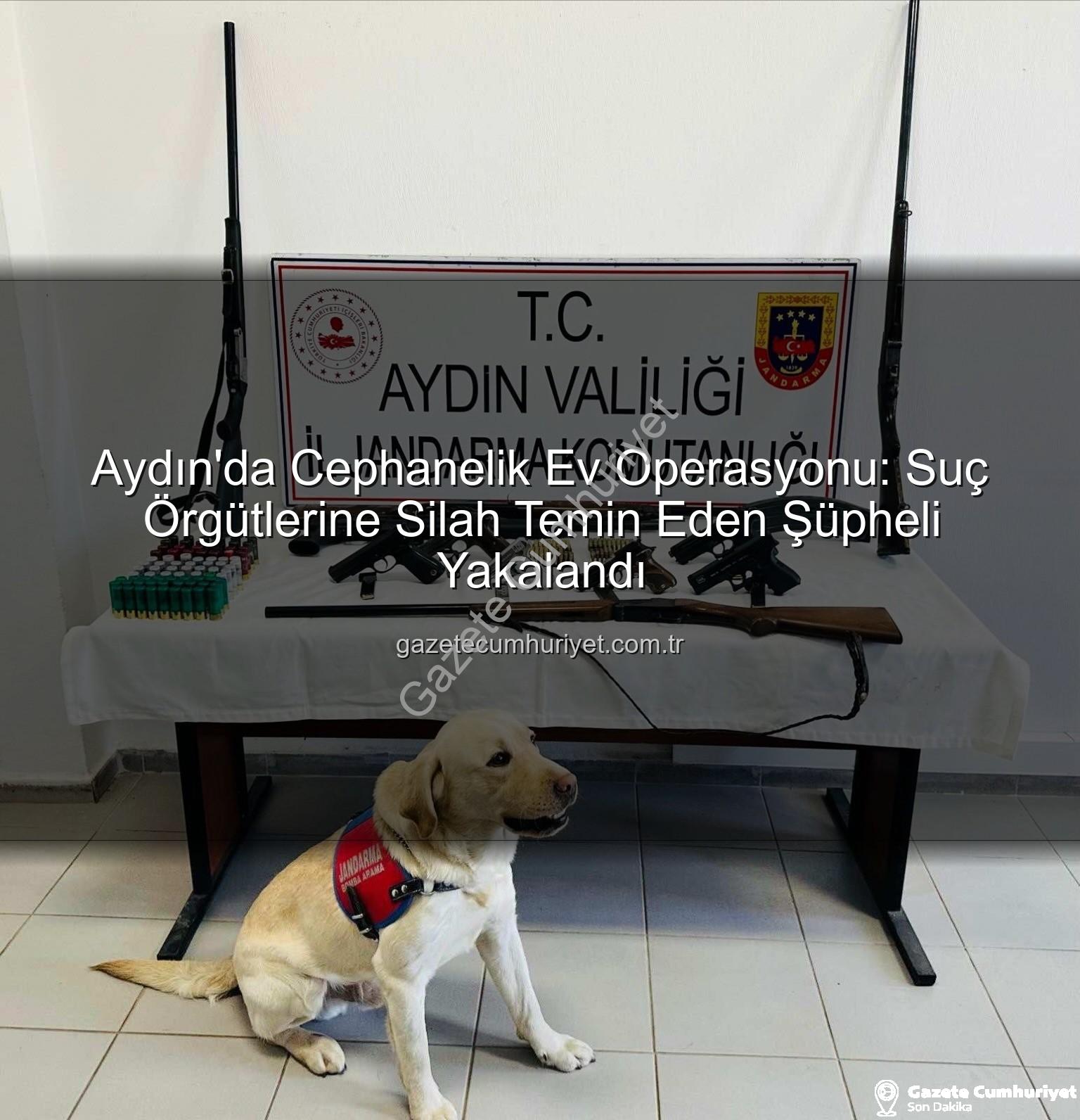 otomatik silahlar - Aydın'da Cephanelik Ev Operasyonu: Suç Örgütlerine Silah Temin Eden Şüpheli Yakalandı