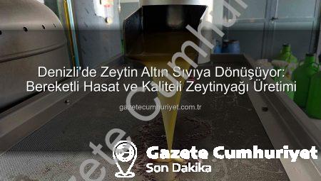 Denizli’de Zeytin Altın Sıvıya Dönüşüyor: Bereketli Hasat ve Kaliteli Zeytinyağı Üretimi