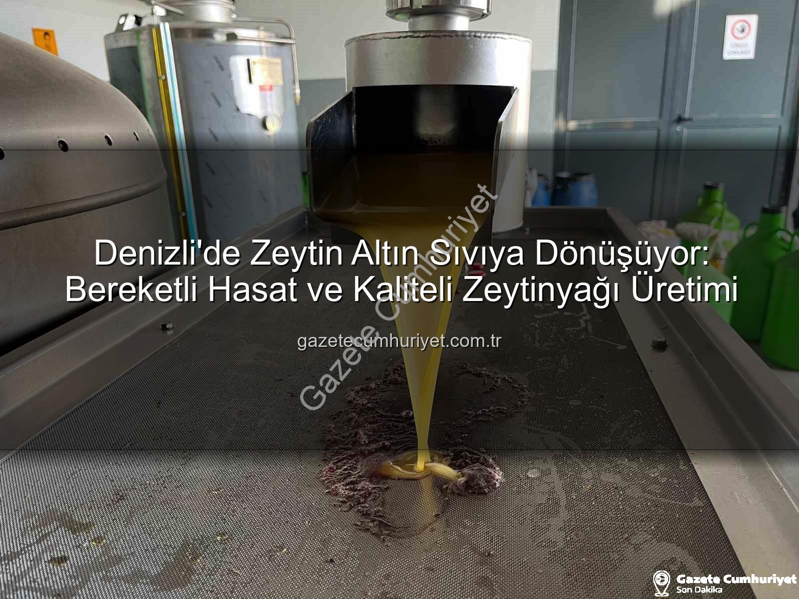 zeytinyağı üretimi - Denizli'de Zeytin Altın Sıvıya Dönüşüyor: Bereketli Hasat ve Kaliteli Zeytinyağı Üretimi