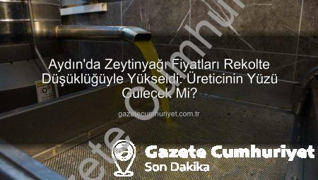 Aydın’da Zeytinyağı Fiyatları Rekolte Düşüklüğüyle Yükseldi: Üreticinin Yüzü Gülecek Mi?