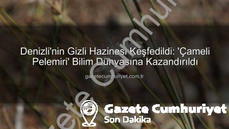 Denizli’nin Gizli Hazinesi Keşfedildi: ‘Çameli Pelemiri’ Bilim Dünyasına Kazandırıldı
