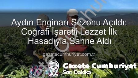 Aydın Enginarı Sezonu Açıldı: Coğrafi İşaretli Lezzet İlk Hasadıyla Sahne Aldı