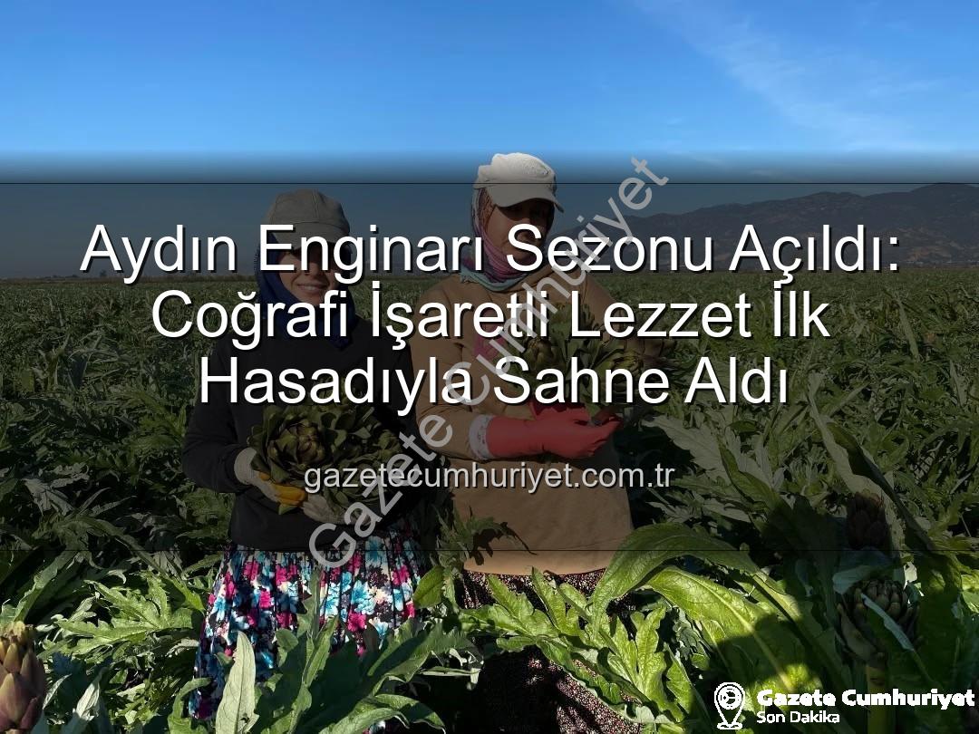 Aydın Enginarı - Aydın Enginarı Sezonu Açıldı: Coğrafi İşaretli Lezzet İlk Hasadıyla Sahne Aldı