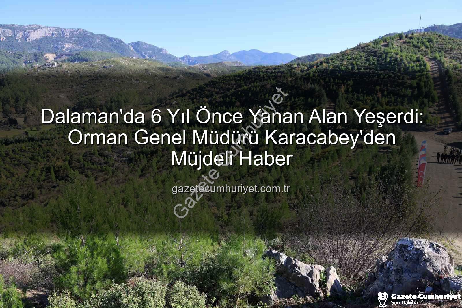 orman yangını sonrası ağaçlandırma - Dalaman'da 6 Yıl Önce Yanan Alan Yeşerdi: Orman Genel Müdürü Karacabey'den Müjdeli Haber