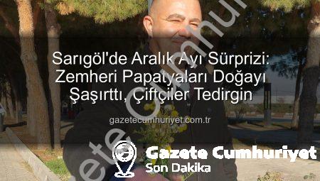 Sarıgöl’de Aralık Ayı Sürprizi: Zemheri Papatyaları Doğayı Şaşırttı, Çiftçiler Tedirgin